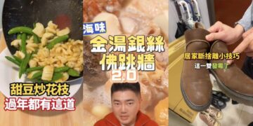 TikTok 推出「分享珍藏集」新功能！春節自煮教學、大掃除收納指南一鍵分享