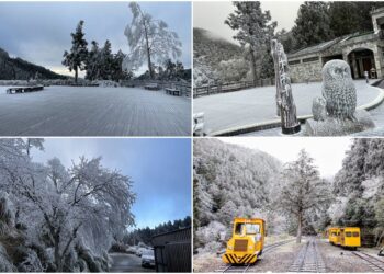 持續低溫 太平山再現霧淞美景 遊客：超漂亮