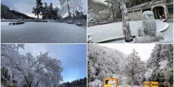 持續低溫 太平山再現霧淞美景 遊客：超漂亮