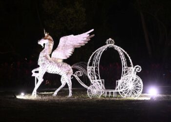 大陳公園熠熠燈海  花蓮走春新景點