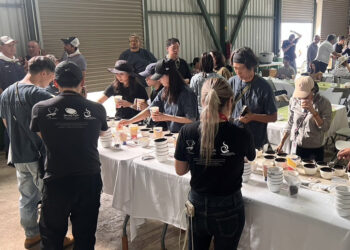 送禮自用都超值「產地直購」優勢推情人節限定快閃買一送一