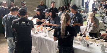 送禮自用都超值「產地直購」優勢推情人節限定快閃買一送一