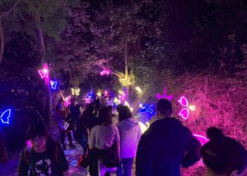 春節國旅爆棚！勝利星村湧200萬人次 　「奇幻大津」一票難求