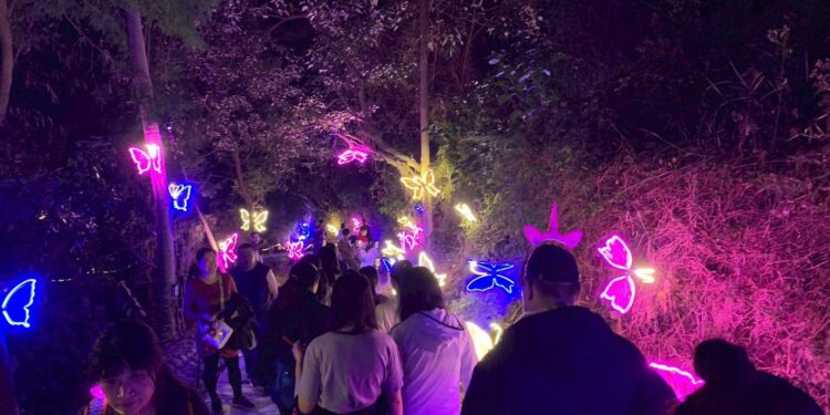 春節國旅爆棚！勝利星村湧200萬人次 　「奇幻大津」一票難求