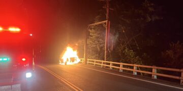 影音/台九線113.9公里處自小客自燃 所幸無人受傷