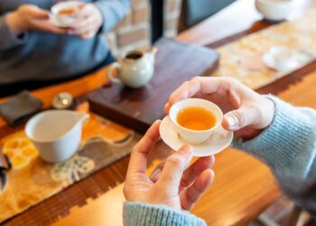 花瀑與星光接力登場 春訪瑞里賞紫藤、觀螢火蟲