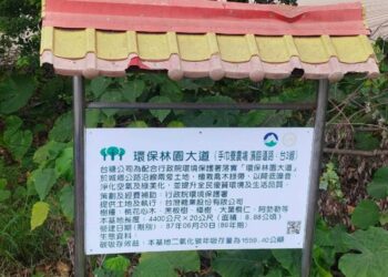 8公里林蔭遭砍老樹不敵施工需求 居民質疑「疏伐變清除」