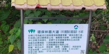 8公里林蔭遭砍老樹不敵施工需求 居民質疑「疏伐變清除」