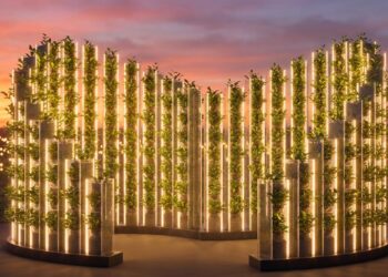 2026台灣燈會「智慧城市燈區」搶先看　探索嘉義的未來生活