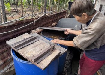屏東查獲第6起豬場餵飼廚餘　屏縣府重罰40萬