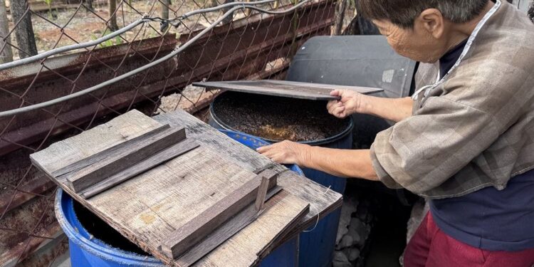 屏東查獲第6起豬場餵飼廚餘　屏縣府重罰40萬