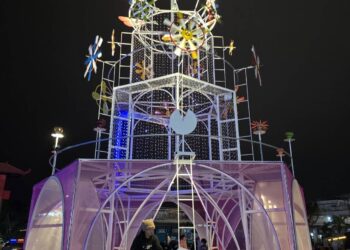 2026 花蓮太平洋燈會盛大開幕  光影、音樂、絢麗煙火絕美登場