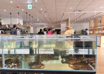 嘉義新食感「有趣事務所」 一場讓用餐變得更好玩的日常體驗