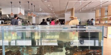 嘉義新食感「有趣事務所」 一場讓用餐變得更好玩的日常體驗