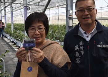 紫色寶石閃耀田間! 田尾「莓莓果園」成功實現本土化大規模種植