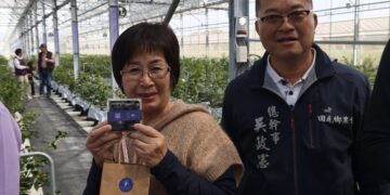 紫色寶石閃耀田間！  田尾「莓莓果園」成功實現本土化大規模種植