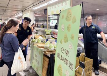 台東好釋！　鳳梨釋迦北捷快閃吸引民眾試吃購買