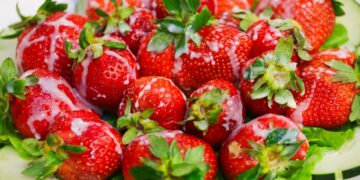 深化台日觀光合作   久留米市率團來台推廣在地旅遊