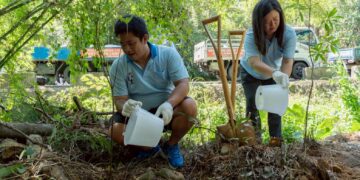 植樹也能抽 Switch！新北「百萬人種百萬樹」官網上線     領苗、日記、證書一站搞定