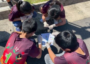 小小檢驗員出動！淡水水資中心環教人氣爆棚     114 年度 500 名學子親歷永續之旅