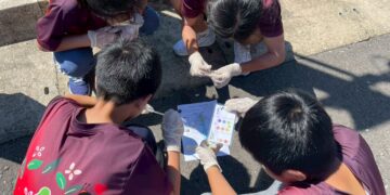 小小檢驗員出動！淡水水資中心環教人氣爆棚     114 年度 500 名學子親歷永續之旅